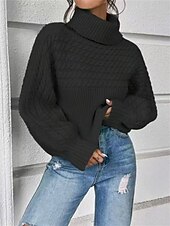 preiswerte Einfarbige Farben-Damen Pullover Lässig Weich Einfarbig Gerippt Rollkragen Gestrickt Langarm Normale Oberteile Stricken Outdoor Täglich Wochenende Schwarz Weiß Herbst Winter