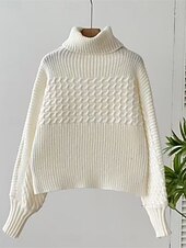 preiswerte Einfarbige Farben-Damen Pullover Lässig Weich Einfarbig Gerippt Rollkragen Gestrickt Langarm Normale Oberteile Stricken Outdoor Täglich Wochenende Schwarz Weiß Herbst Winter