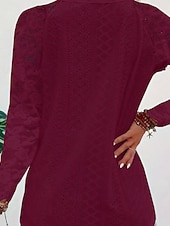 baratos Tops de Renda-Mulheres Blusa Tops de renda Renda Patchwork Tecido Ativo à moda Manga Longa Decote V Tops regulares Diário Feriado Para Noite Branco Rosa Vinho Azul Claro Verão Primavera