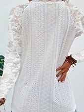 baratos Tops de Renda-Mulheres Blusa Tops de renda Renda Patchwork Tecido Ativo à moda Manga Longa Decote V Tops regulares Diário Feriado Para Noite Branco Rosa Vinho Azul Claro Verão Primavera