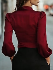 ieftine Bluze elegante-Pentru femei Cămașă Elegant Top din satin Bluză Cu Șiret Simplu Elegant Stilat Manșon Lung În V Topuri obișnuite Zilnic Muncă Concediu Negru Roșu Vin Trifoi Caisă Vară Primăvară Toamnă