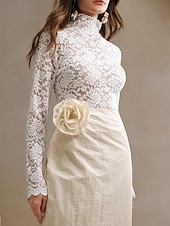 preiswerte Spitzenoberteile-Damen Bluse Spitzentops Spitze Einfach Stilvoll Langarm Rollkragen Normale Oberteile Täglich Ferien Ausgehen Weiß Frühling Herbst