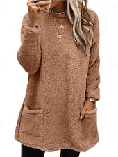 ieftine Hanorace căptușite cu fleece-Pentru femei Hanorac pulover Buzunar Culoare solidă Sport Teddy De Bază Manșon Lung Rotund Crewneck Topuri lungi Casual Stradă Albastru piscină Marron Negru Alb Verde Deschis Toamna iarna