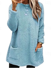 ieftine Hanorace căptușite cu fleece-Pentru femei Hanorac pulover Buzunar Culoare solidă Sport Teddy De Bază Manșon Lung Rotund Crewneck Topuri lungi Casual Stradă Albastru piscină Marron Negru Alb Verde Deschis Toamna iarna