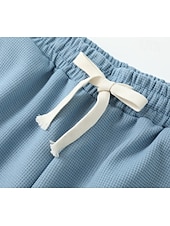abordables Jambe Droite-Homme Pantalon de survêtement droit Pantalon gaufré Cordon de serrage Treillis Respirant Longueur complète Occasionnel Quotidien Lisse Marron Sapin Noir Micro-Élastique