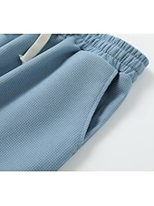 abordables Jambe Droite-Homme Pantalon de survêtement droit Pantalon gaufré Cordon de serrage Treillis Respirant Longueur complète Occasionnel Quotidien Lisse Marron Sapin Noir Micro-Élastique