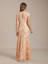Недорогие Цветочное платье-Women's Maxi Dress Sheath Dress Trumpet Mermaid Dress Lace Embroidered Sequins Elegant Wedding Guest Cocktail Party Floral Short Sleeve V Neck Pink Summer Spring Fall