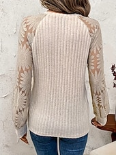 cheap Lace Tops-Women's Shirt Blouse Lace Tops Long Sleeve Tops Lace Patchwork Plain Stylish Basic Classic Long Sleeve Crew Neck Regular Tops Daily Holiday Going out Apricot Summer Spring