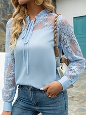 halpa Spitzenoberteile-Women's Lace Shirt Blouse Tie Front Lace Solid Color Elegant Stylish Basic Long Sleeve Tie Neck Regular Tops Daily Work Blue Black Pink Spring Fall