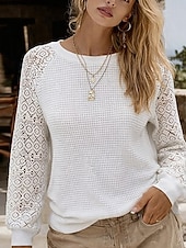 abordables Tops de Encaje-Mujer Blusa Encaje Color sólido Elegante Diario Casual Manga Larga Cuello Barco Tops regulares Diario Blanco Verano Primavera Otoño