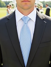 abordables Boda ACC-Corbata de poliéster para hombre, con diseño de cuadrícula pequeña, varios colores, largo ajustable, adecuada para bodas, negocios y viajes diarios.