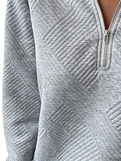 お買い得  テクスチャードフーディ-レディース スウェットシャツ カジュアル 無地 ストリート デイリーウェア クルーネック ジッパー 長袖 ブラック ホワイト レッド グレー 秋 冬