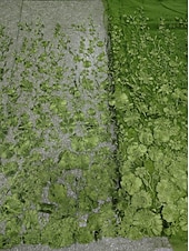  A-Line Tea Length Cocktail Dresses Elegant Vintage Floral Sleeveless V Neck Garden Party Wedding Pocket Satin Lace with Embroidered Flower Embroidery Pocket