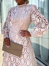 preiswerte Weiße Spitzenkleider-Damen Midikleid Maxikleid Spitzenkleid Weißes Kleid Freizeitkleid Elegant Mode Modern Outdoor Urlaub Ausgehen Normale Passform Schlank Geometrisch Langarm Hoher Ausschnitt Stehkragen Schwarz Wei