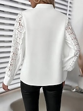 economico Top in Pizzo-Per donna Camicia Blusa Top in pizzo Pizzo Semplice Elegante Essenziale Classico Manica Lunga Scollo a V Top Regolari Quotidiano Ferie Uscire Bianco Estate Primavera