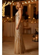 お買い得  シースイブニングドレス-タイト／コラム スイープ／ブラシトレーン フロア丈 ウェディングゲストドレス フォーマルドレス イブニングガウン イブニングドレス エレガント きらびやかな セレブスタイル ノースリーブ Ｖネック パーティー 結婚式 バックレス ととも​​に グリッター素材 スパンコール スリット