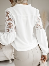 cheap Lace Tops-Women's Blouse Pleated Patchwork Solid Color Elegant Stylish Casual Long Sleeve High Neck Regular Tops Daily Black White Summer Spring Fall