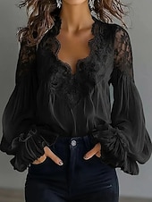 voordelige Kant Tops-Dames Kanten overhemd Blouse Kant Lapwerk Effen Kleur Elegant Stijlvol Basic Lange mouw V-hals Normale tops Dagelijks Uitgaan Zwart Wit Zomer Lente Herfst