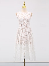  А-силуэт Ниже колена Кружевное платье Маленькое белое платье Элегантный стиль Маленькие белые платья Без рукавов Вырез под горло Свадьба с Кружева Плиссировка