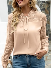 halpa Spitzenoberteile-Women's Lace Shirt Blouse Tie Front Lace Solid Color Elegant Stylish Basic Long Sleeve Tie Neck Regular Tops Daily Work Blue Black Pink Spring Fall
