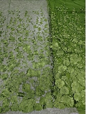  A-linje Gulvlengde Kveldskjoler Formell kjole Elegant Årgang Blomster Halvlange ermer V-hals Bryllup Formell Sateng Blonder med Brodert blomst Broderi Appliqué