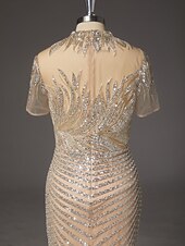  Sirena Tromba Strascico a Terra Abito da Ballo Vestito da Festa Abito Formale Abito da Sera Elegante Festa Scintillante Manica Corta Collo Alto Balli di fine anno Matrimonio con Pizzo Paillettes