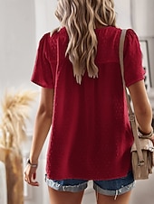 cheap Plain Blouses-Women's Summer Shirt Casual Shirt Blouse Lace Trim Solid Color Vacation Stylish Casual Short Sleeve Crew Neck Regular Tops Daily Beach Holiday Blue Black White Pink Red Summer Spring