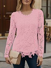 preiswerte Spitzenoberteile-Damen Hemd Bluse Spitzentops Spitze Einfach Stilvoll Modern Lässig Langarm Rundhalsausschnitt Normale Oberteile Täglich Ausgehen Blau Schwarz Weiß Rosa Wein Frühling Herbst