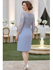 Недорогие Длина чая-Футляр До колена Платье для вечеринки Коктейльные платья Свадебное платье для гостей Платье для матери невесты Длинный рукав Вырез под горло Элегантный стиль Официальные Свадебный гость Шифон Кружева