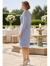 Недорогие Длина чая-Футляр До колена Платье для вечеринки Коктейльные платья Свадебное платье для гостей Платье для матери невесты Длинный рукав Вырез под горло Элегантный стиль Официальные Свадебный гость Шифон Кружева