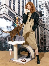 abordables Arbres à chat-arbre à chat