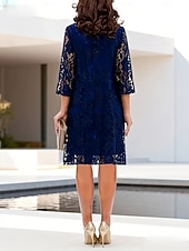 voordelige Eenvoudige jurk-Dames Knielengte jurk Kanten jurk Feestjurk Cocktail jurk Elegant Strand Feest Bruiloft Normale pasvorm Effen Halve mouw V-hals blauw Rood Zomer Lente