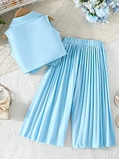 economico Completi per bambine-2 Pezzi Bambini Ragazze Tinta unica Arricciato Camicia &amp; Pantaloni Impostato Senza Maniche Moda Casuale Dai 4 anni in su Estate Rosa scuro Bianco Rosa