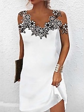 economico Abiti in pizzo bianco-Per donna Mini Abito Abito in Pizzo Abito Bianco Elegante Moda Moderno All'aperto Vacanza Uscire Vestibilità regolare Floreale Senza Maniche Scollo a V Nero Bianco Rosso Estate Primavera