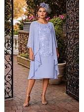 זול ערכות שמלות של אמא-שני חלקים מעטפת עמוד באורך הקרסול שמלת אורח לחתונה שמלה לאם הכלה  ללא שרוולים עם תכשיטים אלגנטית אורחת חתונה מסיבת החתונה שיפון תחרה שמלות ז'קט עם אפליקציות