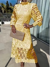 preiswerte Weiße Spitzenkleider-Damen Midikleid Maxikleid Spitzenkleid Weißes Kleid Freizeitkleid Elegant Mode Modern Outdoor Urlaub Ausgehen Normale Passform Schlank Geometrisch Langarm Hoher Ausschnitt Stehkragen Schwarz Wei