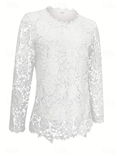 cheap Lace Tops-Women's Blouse Lace Solid Color Elegant Stylish Casual Long Sleeve Crew Neck Regular Tops Daily White Summer Spring Fall