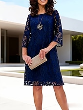 voordelige Eenvoudige jurk-Dames Knielengte jurk Kanten jurk Feestjurk Cocktail jurk Elegant Strand Feest Bruiloft Normale pasvorm Effen Halve mouw V-hals blauw Rood Zomer Lente