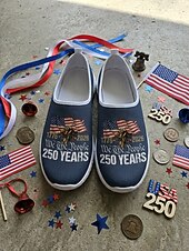  Patriotische, atmungsaktive Mesh-Sneaker für Herren zum Hineinschlüpfen – Adler- und Flaggenmotiv für Paraden, den 4. Juli, den 250. Jahrestag der USA und nationale Feierlichkeiten