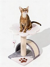 abordables Arbres à chat-arbre à chat