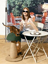 お買い得  キャットツリー-猫の爪とぎポール、爪とぎポール、キノコ型、猫の爪とぎ、麻紐
