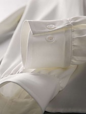 Недорогие Блузки и рубашки-Жен. Рубашка Блуза Топы из шифона галстук спереди Сплошной цвет Полотняное плетение Активный Стиль Классический Длинный рукав Вырез под горло галстук-шея Обычные топы Повседневные Уличная одежда Офис