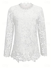 cheap Lace Tops-Women's Blouse Lace Solid Color Elegant Stylish Casual Long Sleeve Crew Neck Regular Tops Daily White Summer Spring Fall