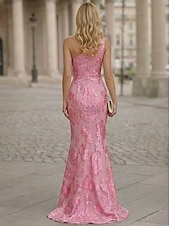 ieftine Rochii de Seară-Trompetă  Sirenă Mătura Trenă Rochii de seara Elegant Pastel Fără manșon Pe Umăr Serată Nuntă Organza Jaquard cu Bloc Culoare