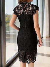 cheap Plain Dress-Women's Mini Dress Sheath Dress Elegant Party Cocktail Outdoor Party Wedding Guest Lace Patchwork Regular Fit Solid Color Sleeveless Crew Neck Blue Black White