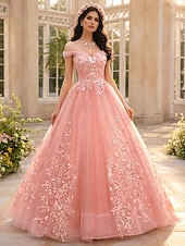 voordelige Lange Jurken en Gowns-Baljurk Vloerlengte Prom Jurken Prinses Puff Mouwloos Off Shoulder Performance Quinceanera met Apliquès