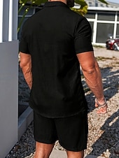 Χαμηλού Κόστους Σετ ανδρικών πουκάμισων βασικών-Ανδρικά Πουκάμισο Σετ πουκαμίσου Casual πουκάμισο Πουκάμισο με κουμπιά Μαύρο Ρουμπίνι Μπλε Ρουά Ουρανί Πράσινο του τριφυλλιού Κοντομάνικο Σκέτο Κολάρο Πουκαμίσου Causal Καθημερινά 2 τεμάχια Ρούχα