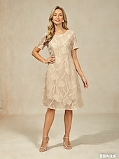 preiswerte Einfaches Kleid-Damen Minikleid Shiftkleid Elegant Einfarbig Kurzarm Rundhalsausschnitt Mink