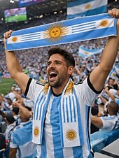 preiswerte Zubehör-Herren-Handtuchschal aus Polyester mit Argentinien-Flagge, weicher Fan-Schal für Fußballspiele, Stadionveranstaltungen, Sportübertragungen und den Alltag.