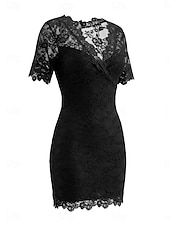 economico Vestito Semplice-Per donna Mini Abito Abito in Pizzo Elegante Quotidiano Taglia piccola Colore Puro Manica Corta Scollo a V Nero Marrone chiaro Primavera